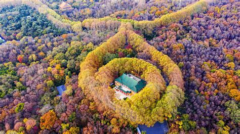 南京鍾山|钟山风景名胜区